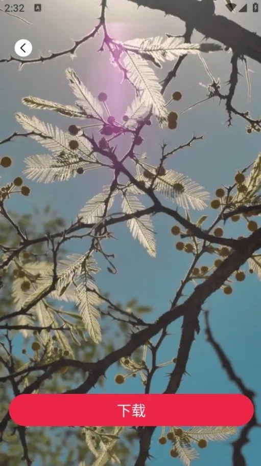 tibni-���ʴ����߷���ƽ̨v1.0.0 �ٷ�����