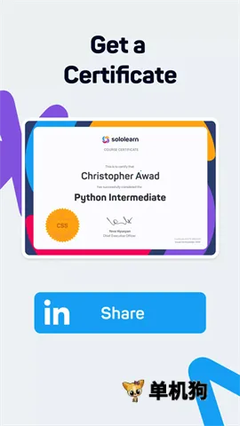 SoloLearn2026���°汾v4.0.5 �ֻ���