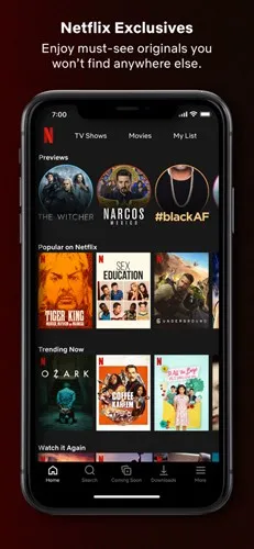 ����Netflix2026���°汾v9.18.0 ��׿��