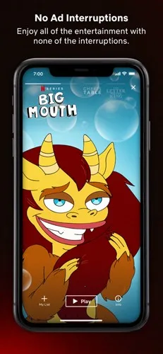 ����Netflix2026���°汾