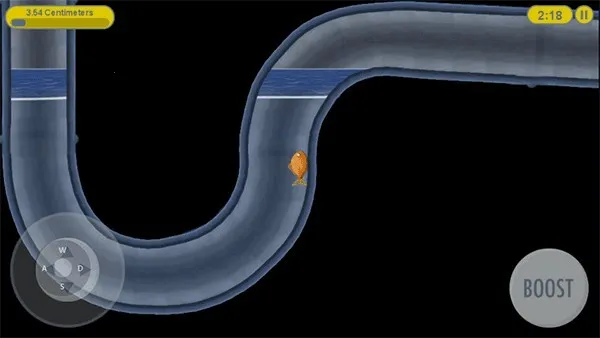 ��ζ����2����2026���°汾