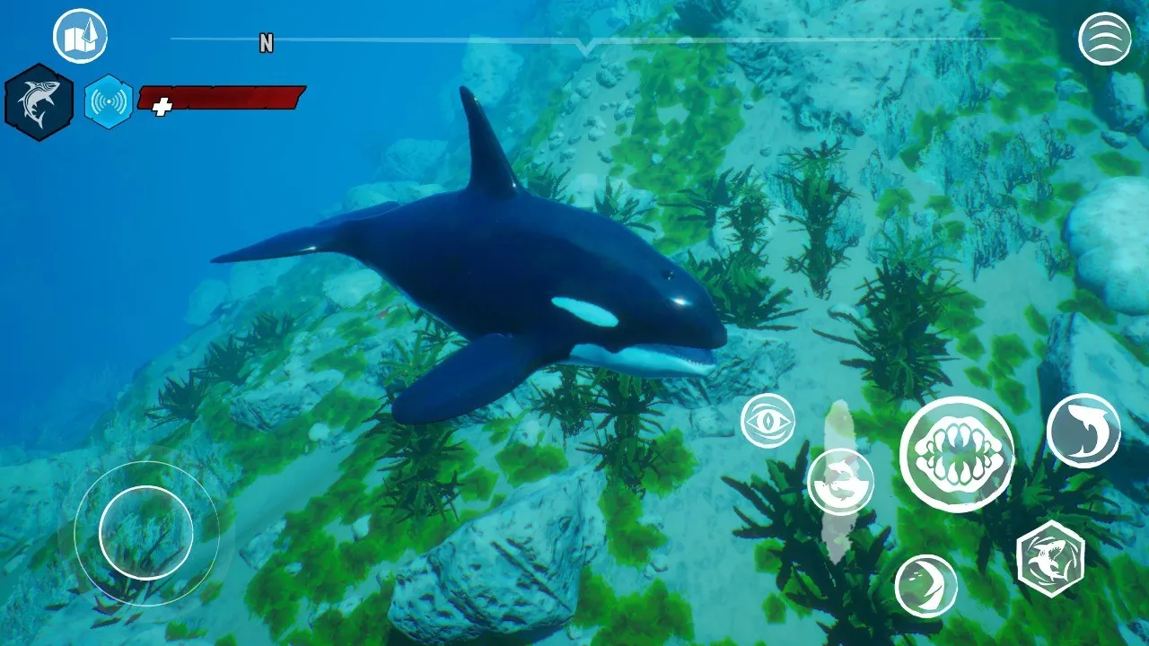 ʳ�������������������