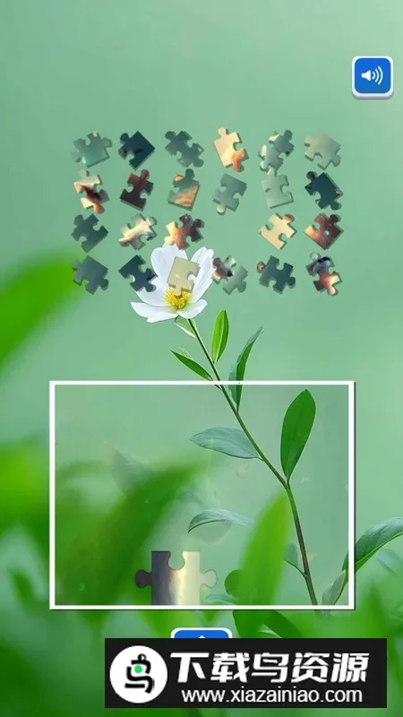 �����ִ���2026���°汾v1.0 �ֻ���