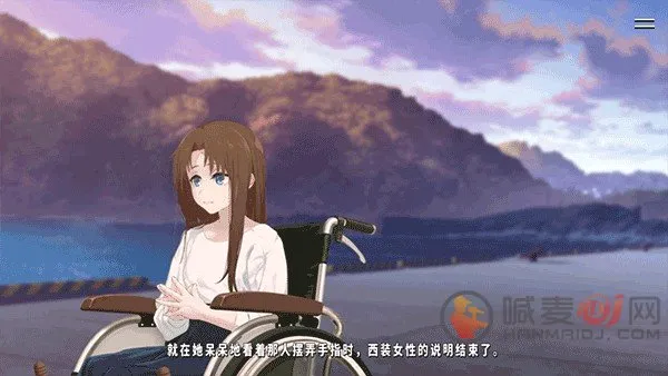 �׸������ı�������İ�(����Ԫ����)