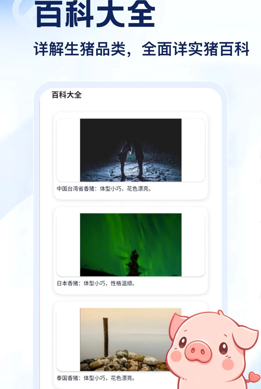 ����APP2026�ٷ����°汾v5.2 ��׿��