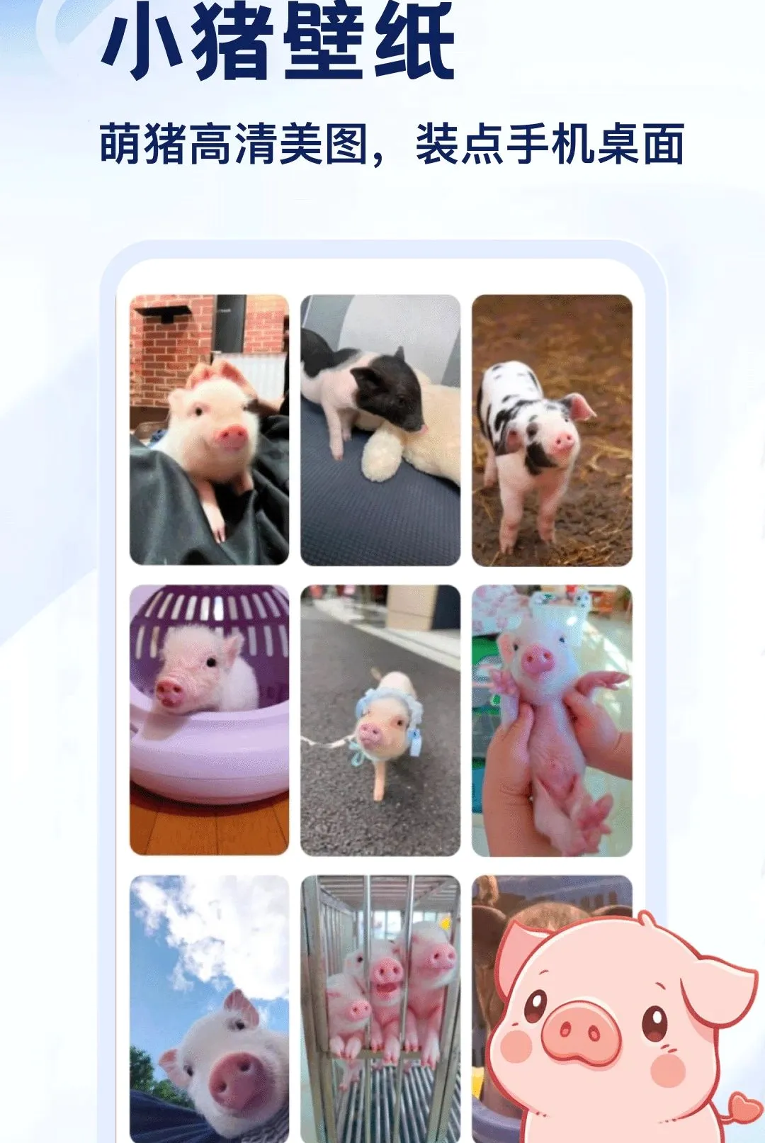 ����APP2026�ٷ����°汾v5.2 ��׿��