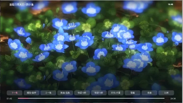次元咲TV2026最新版本 次元咲TV2026最新版本