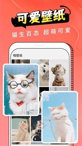 Cat Translation2026���°汾v3.1.5 �ֻ���