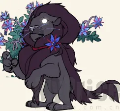 ����ɴ����ذ�װ