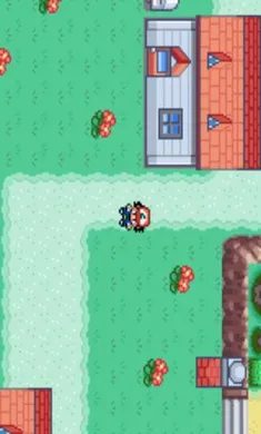 �ڴ����֣�ʥ��(Ƥ����ð����Ϸ)v2021.04.01.10 ��׿��