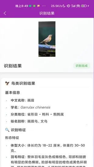 ʶ��2026���°汾v1.1.0 ��Ѱ�