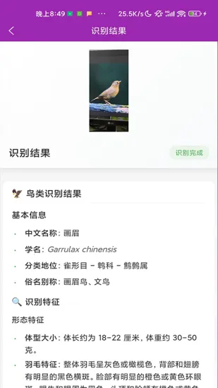 ʶ��2026���°汾v1.1.0 ��Ѱ�