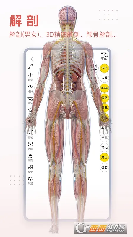 3dbody��������v8.8.91 �ٷ�����