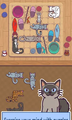 ���׶�(è�������Ϸ)v1.0.0 �ٷ�����