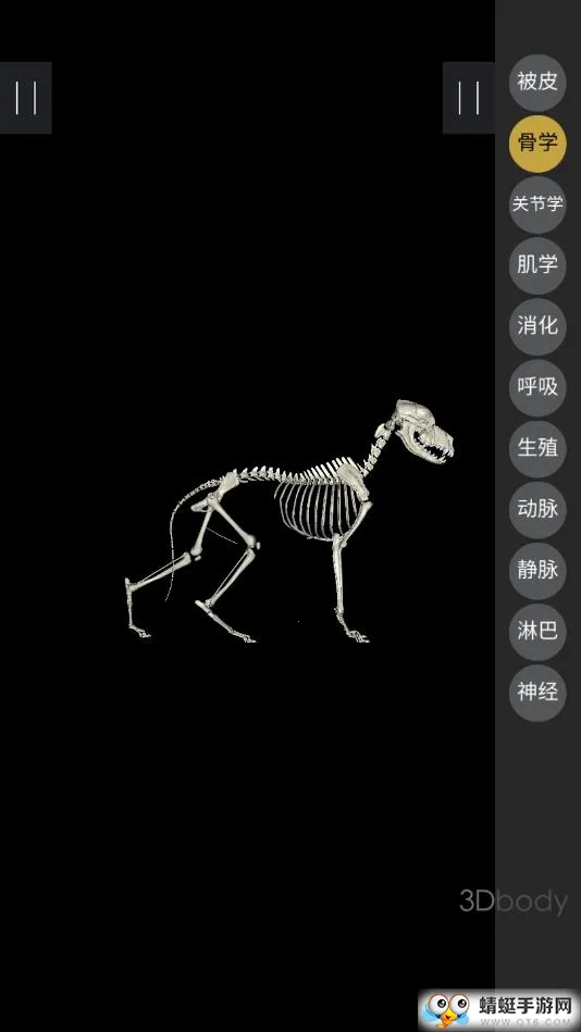 3dbody�������İ�v8.8.91 �ֻ���