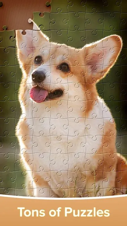 ƴͼ��Ϸ�󴳹������ֻ���v4.4.16 �ֻ���