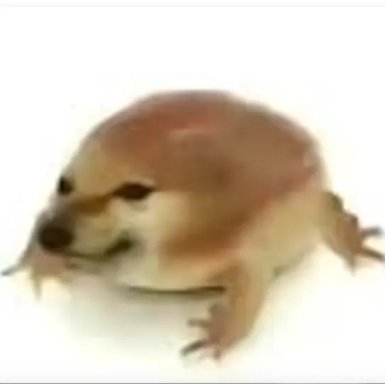 �ҵĵ������ư氲׿���ֻ���v1.0 ��׿��