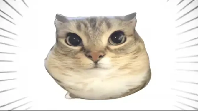 �ͰͲ�һ2026���°汾v1.0 �ֻ���