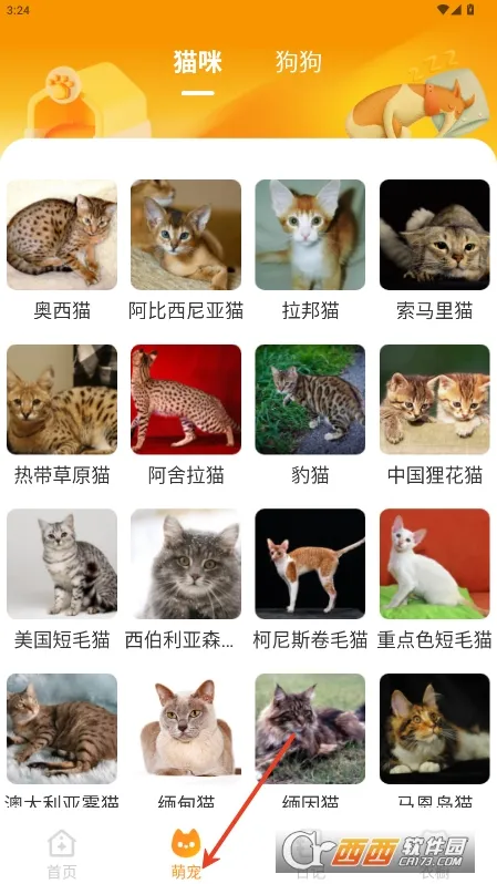 Ԫ����ֽ�ƽ��v2.0.5 �ֻ���