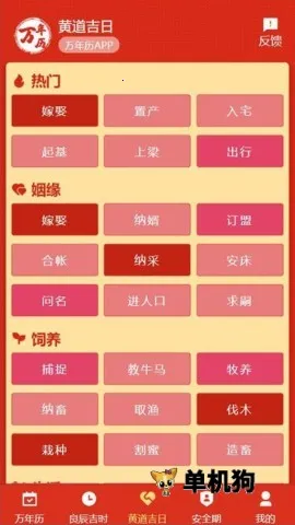 199������(������ѯ����)