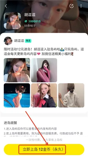 趣岛2026官方最新版本 趣岛2026官方最新版本