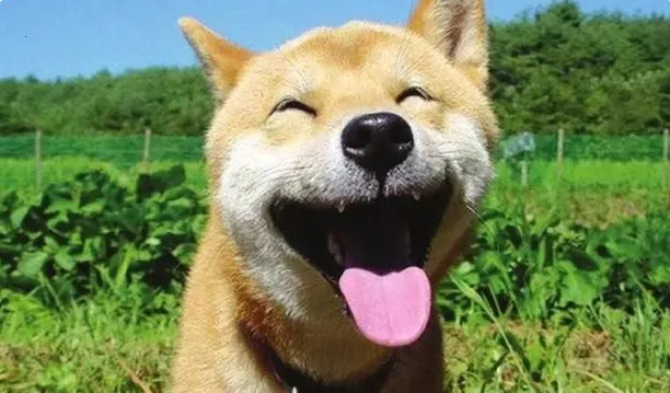 ��������(��Ц��������)