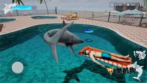 �������ս��׿���ֻ���