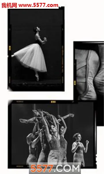 Mojito2026���°汾v1.3.28 ��Ѱ�