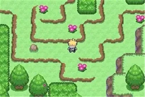 �ڴ���������֮�۴������������ײ˵��������ֻ���v2021.06.16.14 ��׿��