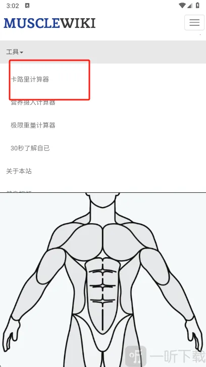 Muscle Wiki(������������)