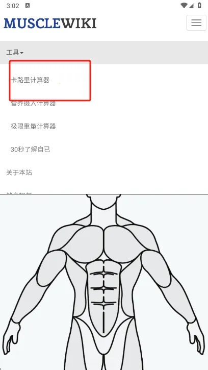 Muscle Wiki(������������)v3.0.9 ��׿��
