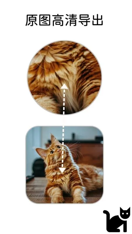 Сè�߿�(ͼƬ��������)v1.1.1 �ٷ�����