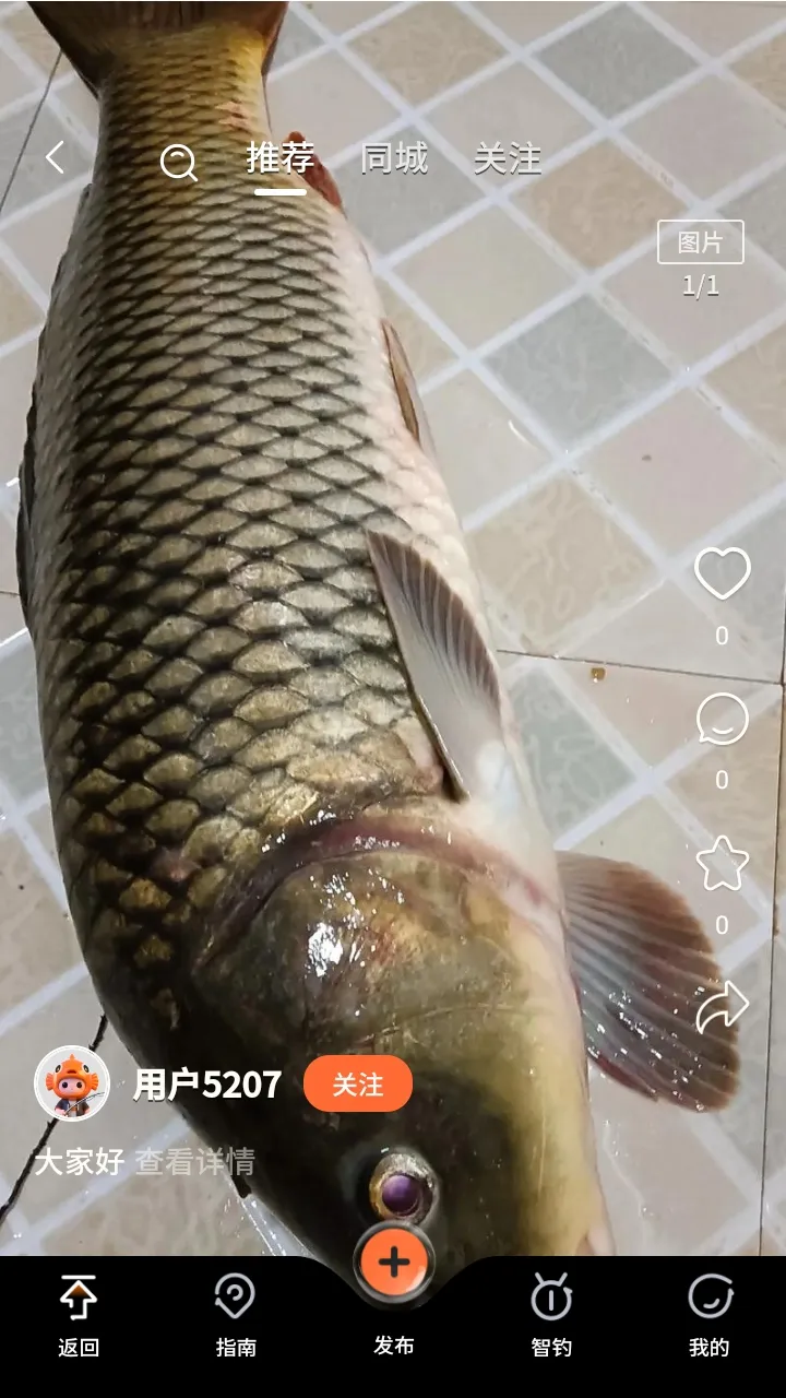 С�����������2026���ذ�װv1.0.11 ��׿��