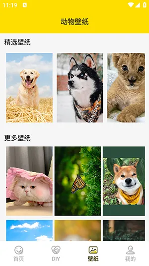 ���ӱ����2026�ٷ����°汾v1.5 ��׿��