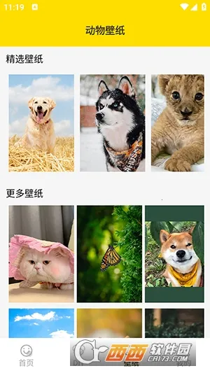 ���ӱ����2026�ٷ����°汾v1.5 ��׿��