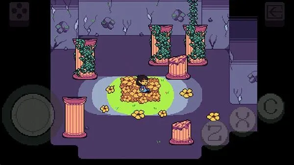 ��˵֮��bnpģ�������ֻ���v5.0.0 ��׿��