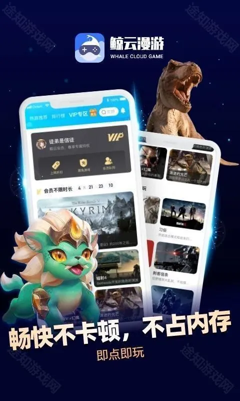 ���������ƽ��VIP�������