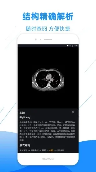 Ӱ�����ͼ��(ҽѧӰ��ѧϰƽ̨)v4.6.5 �ٷ�����