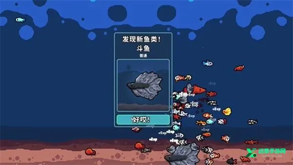 轻松水族馆无限货币(轻松养鱼游戏) 轻松水族馆无限货币(轻松养鱼游戏)