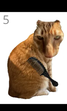��è��ë2026���°汾v1.0 �ٷ�����
