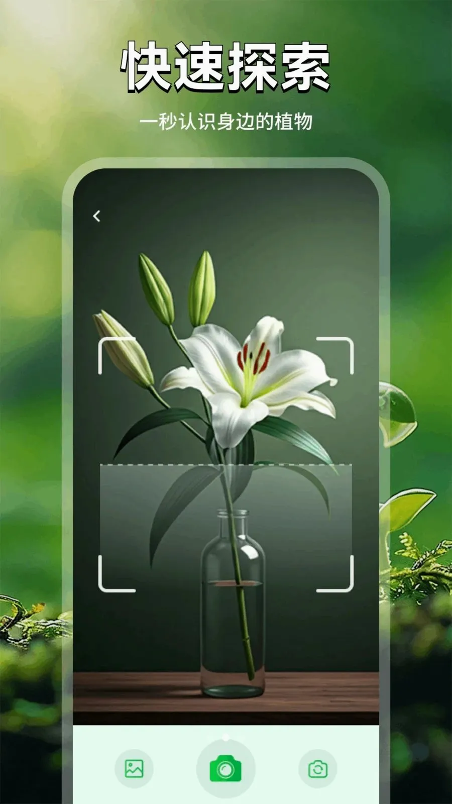���Ļ�(������������)v1.1 �ٷ�����
