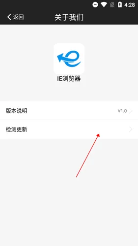 SA�����(ie���������)