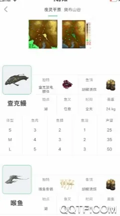 WF虚空境(Warframe游戏助手) WF虚空境(Warframe游戏助手)
