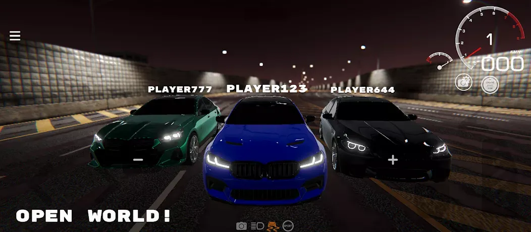 PROJECT R���ռ�����ģ����2026���°汾v0.2.04 �ֻ���