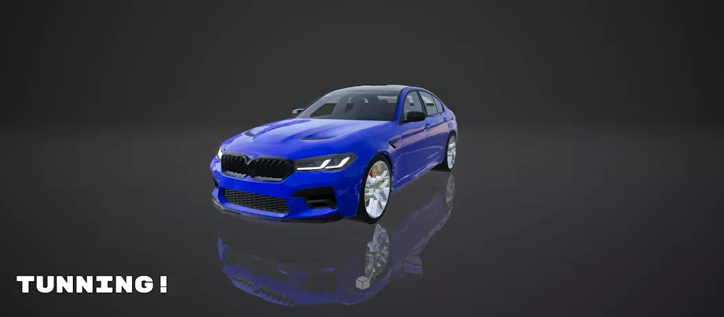 PROJECT R���ռ�����ģ����2026���°汾v0.2.04 �ֻ���