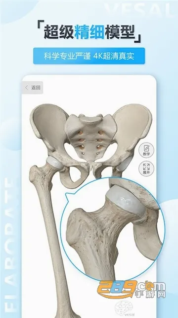 ά����3D���������ֻ���
