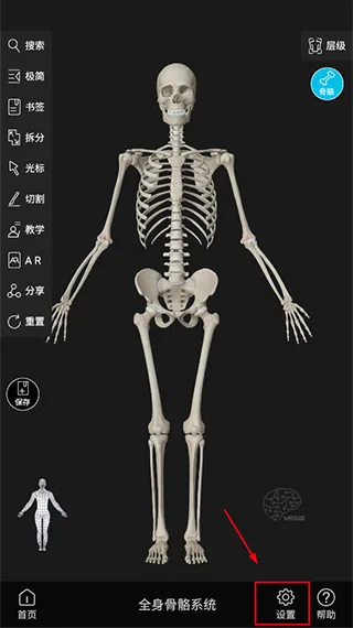 ά����3D���������ֻ���