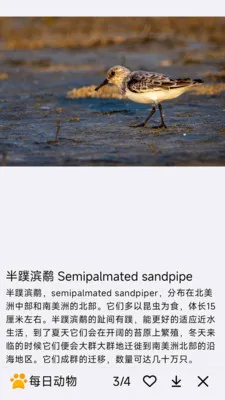 ÿ�ն���2026�ٷ����°汾v1.0.0 ��Ѱ�