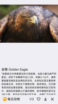 ÿ�ն���2026�ٷ����°汾v1.0.0 ��Ѱ�