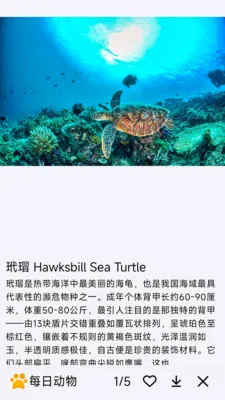 ÿ�ն���2026�ٷ����°汾v1.0.0 ��Ѱ�